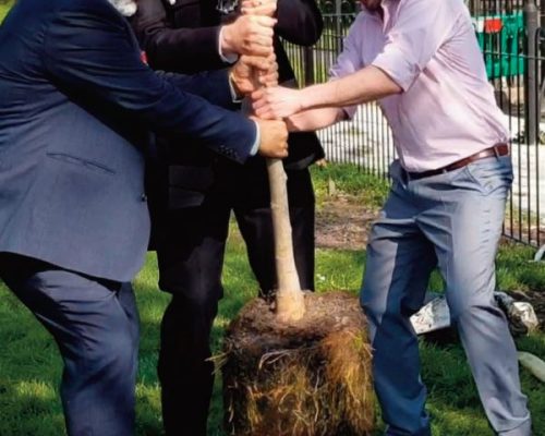 Planting a tree of peace as Sadaqah Jariya (continuous charity) for the victims of the New Zealand massacre with Lambeth Council Leader Jack Hopkins and Lambeth Metropolitan Police Service Superintendent Ian Howells at Wyck Gardens in partnership with Lambeth Council.